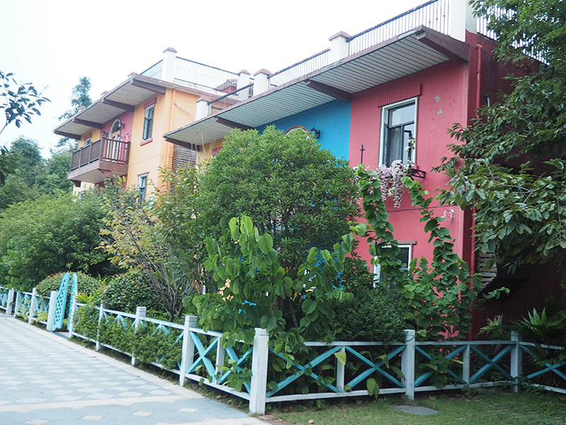 1000px-(12).jpg
